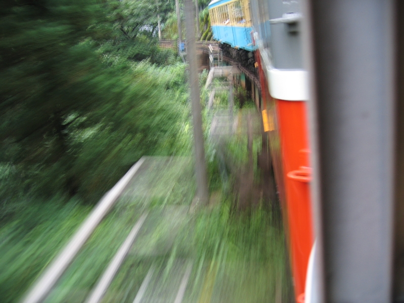 resize_img_2819.jpg