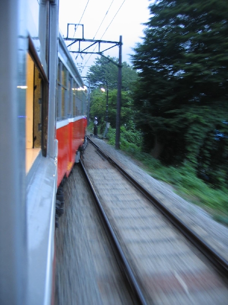 resize_img_2831.jpg