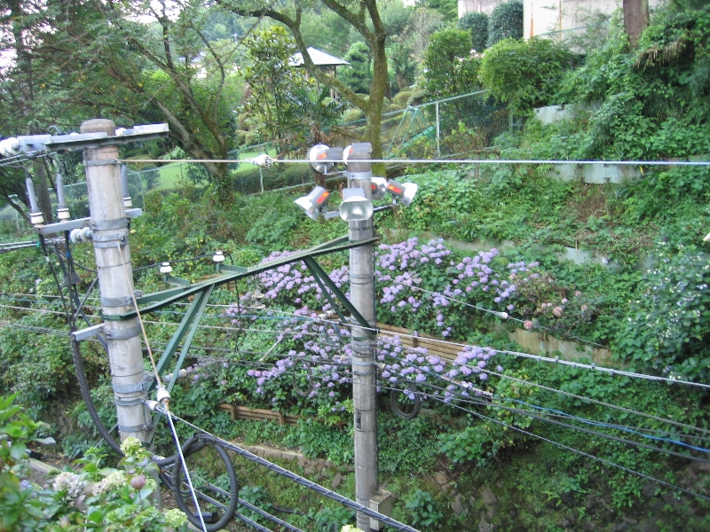 resize_img_2922.jpg