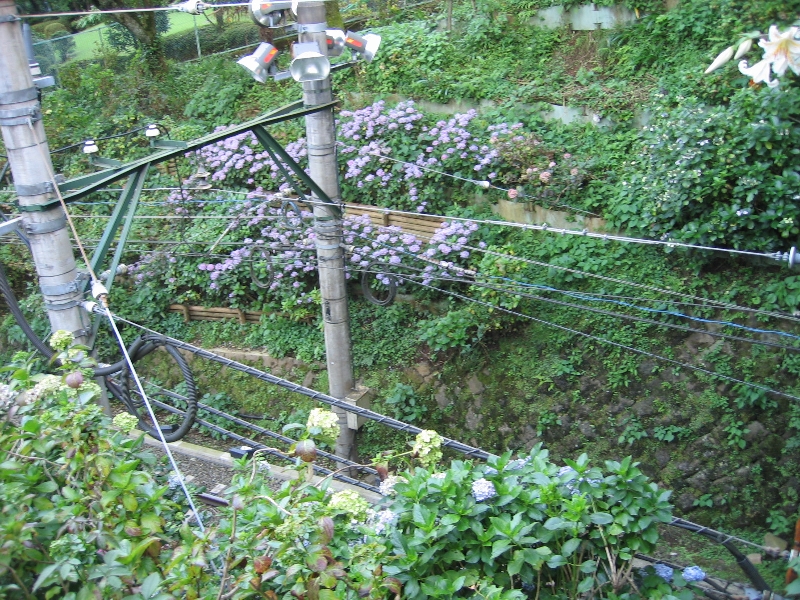 resize_img_2923.jpg