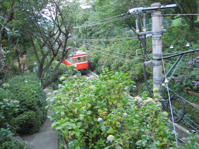 resize_img_2924.jpg