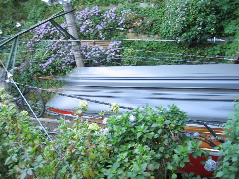 resize_img_2926.jpg