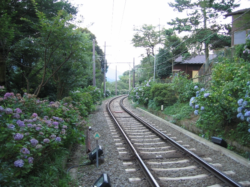 resize_img_2929.jpg