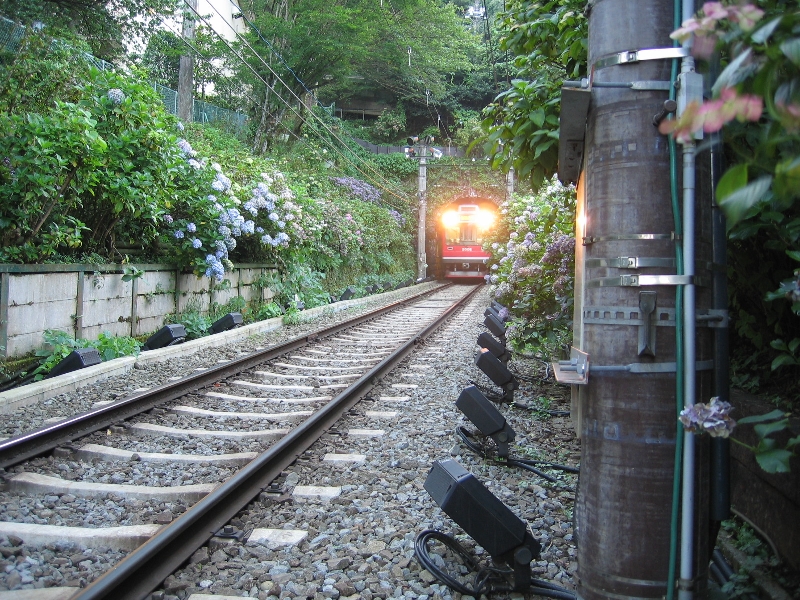 resize_img_2930.jpg