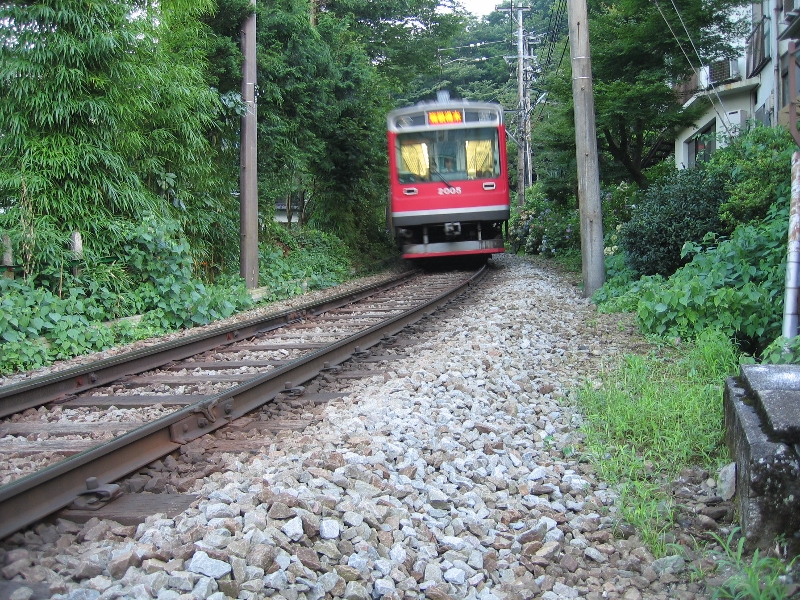 resize_img_2933.jpg