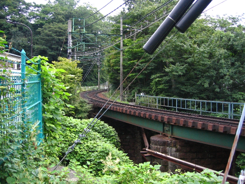 resize_img_3137.jpg