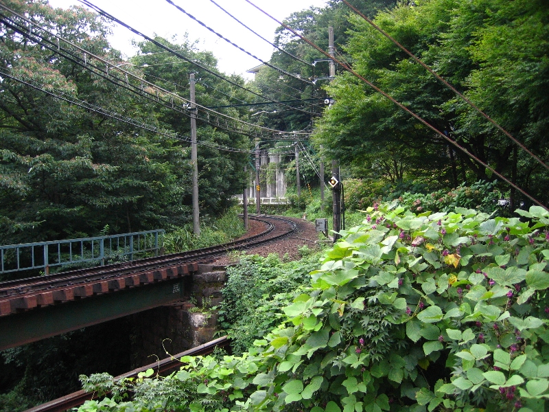 resize_img_3138.jpg