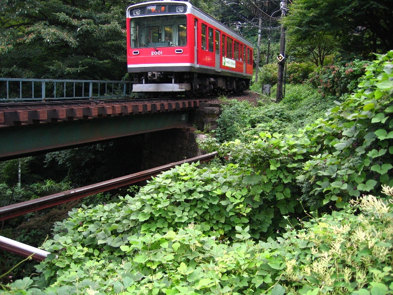 resize_img_3139.jpg
