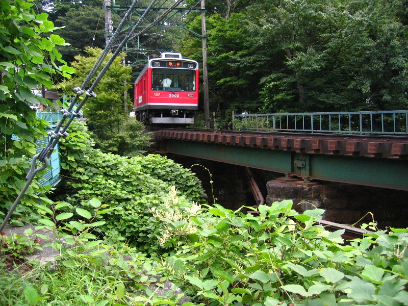 resize_img_3140.jpg