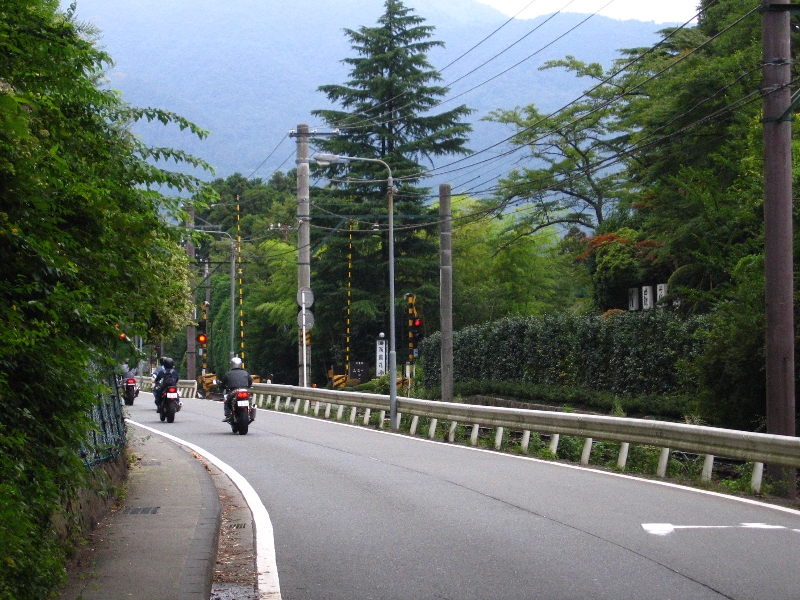 resize_img_3141.jpg