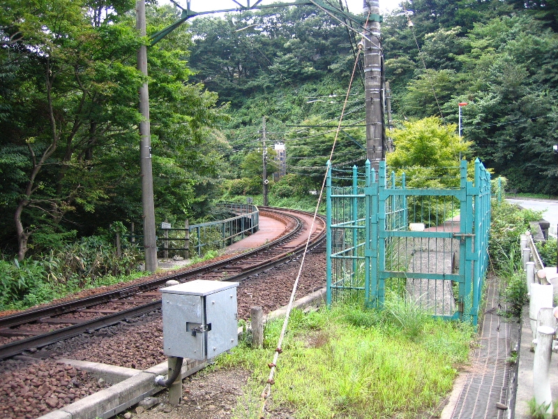 resize_img_3142.jpg