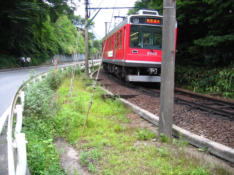 resize_img_3143.jpg