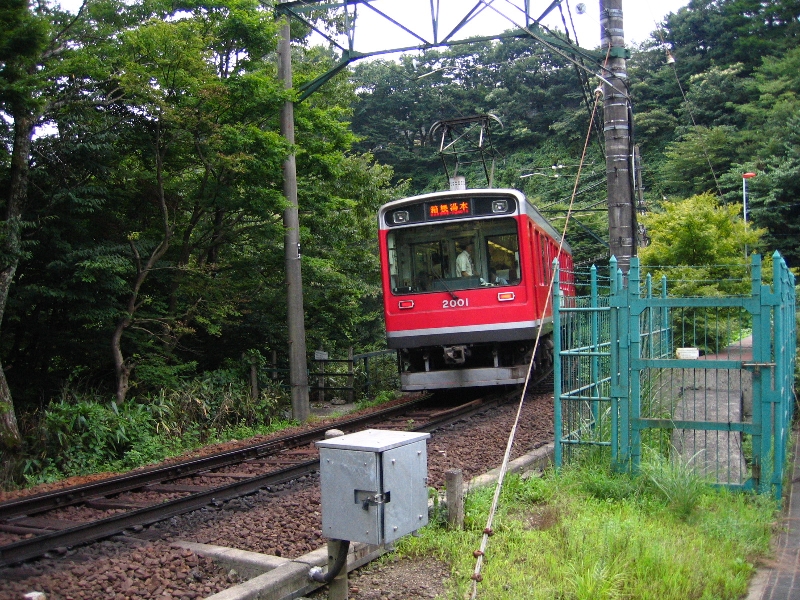 resize_img_3144.jpg