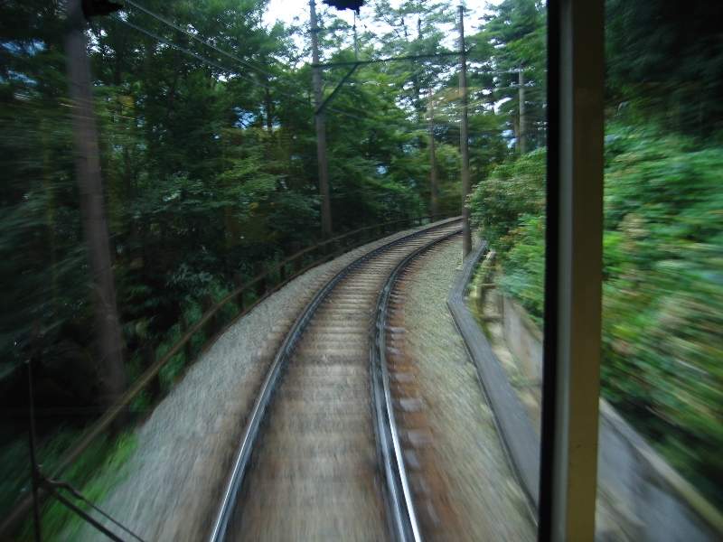 resize_img_3211.jpg
