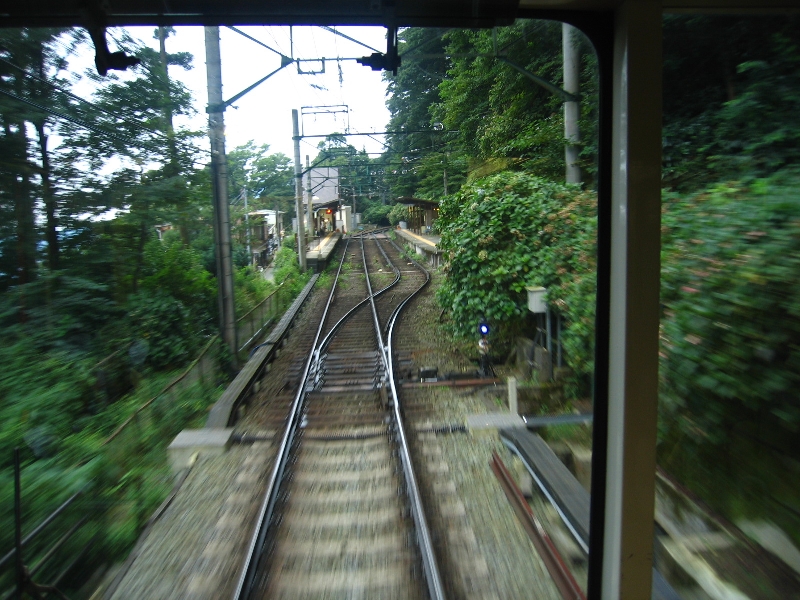 resize_img_3212.jpg