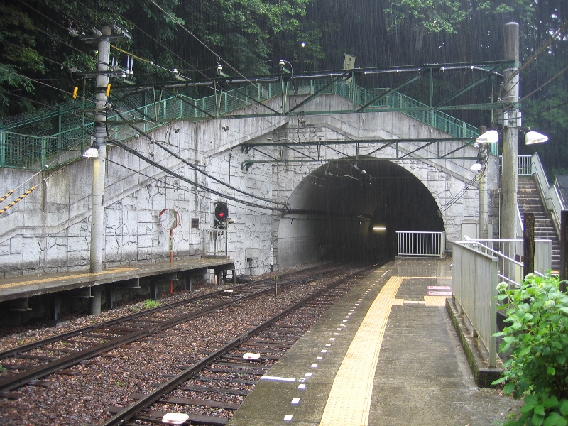 resize_img_2305.jpg