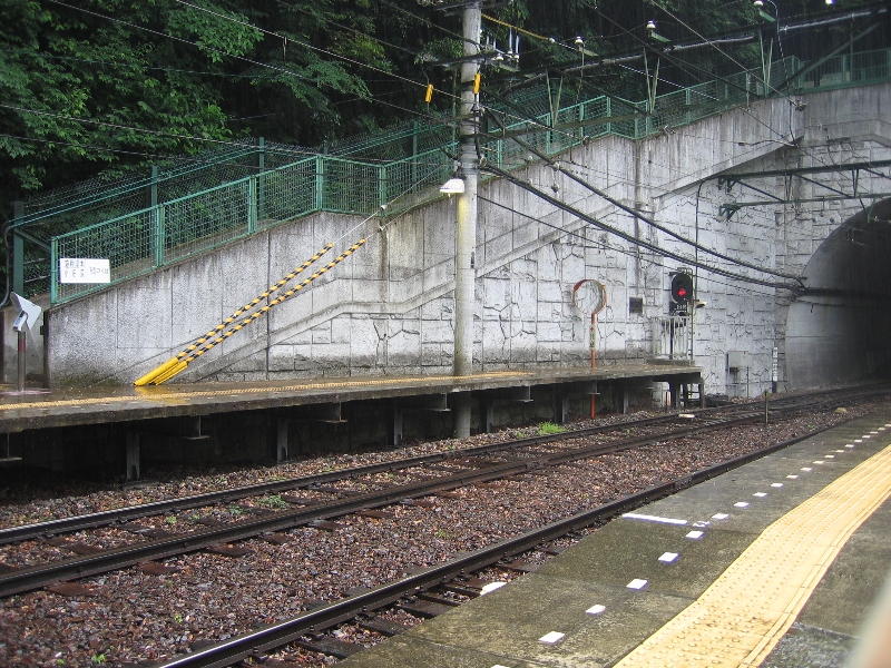 resize_img_2307.jpg