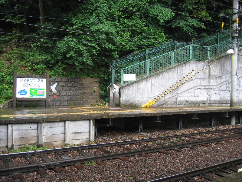 resize_img_2308.jpg