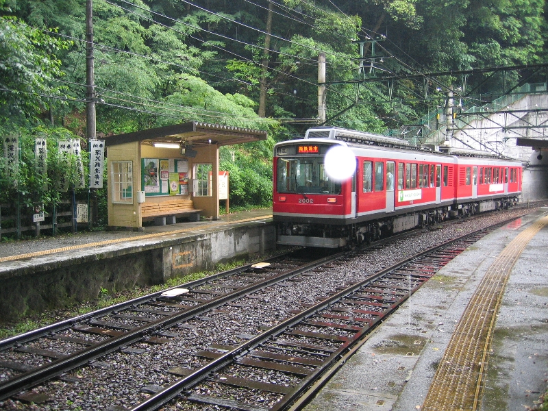 resize_img_2309.jpg