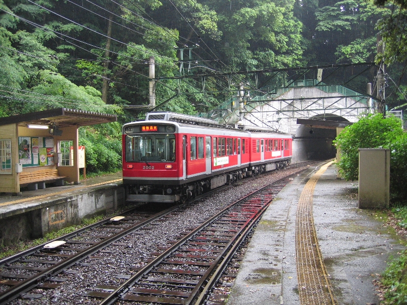 resize_img_2310.jpg
