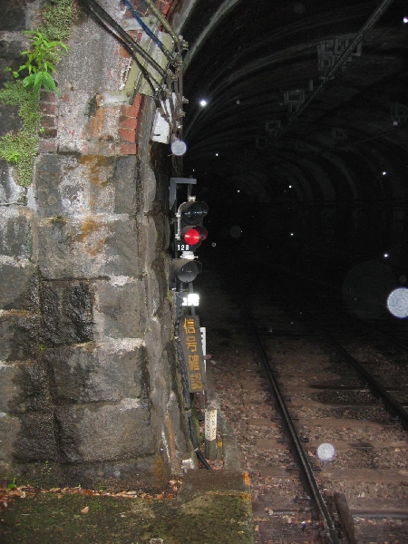 resize_img_2311.jpg