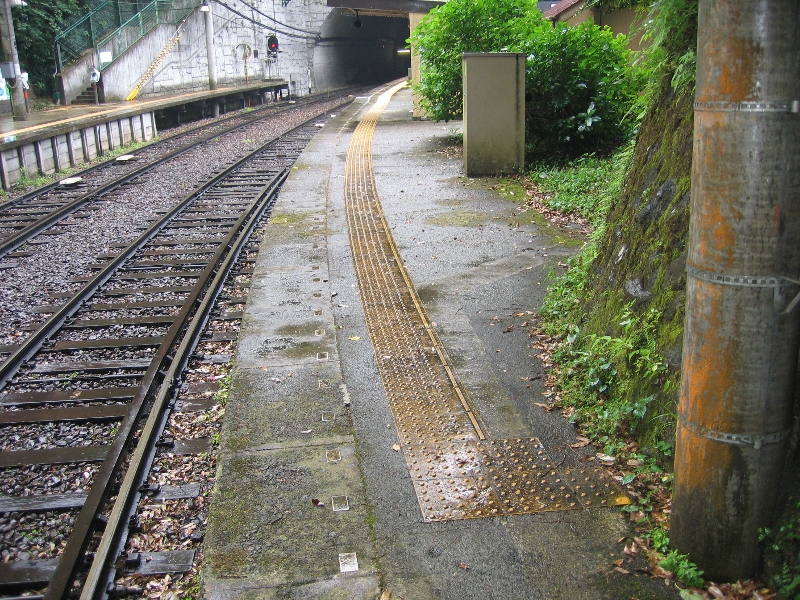 resize_img_2313.jpg