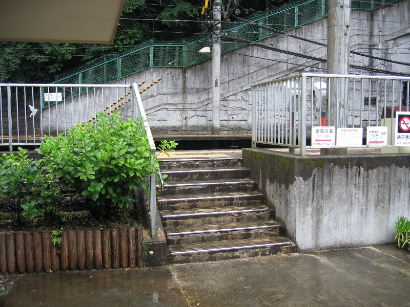 resize_img_2316.jpg