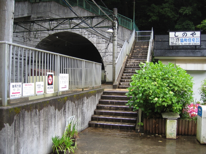 resize_img_2317.jpg