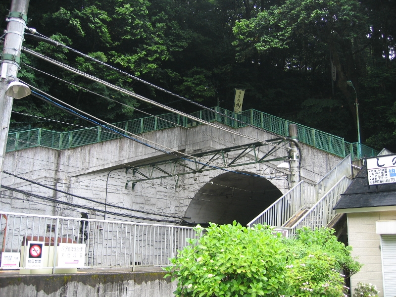 resize_img_2318.jpg