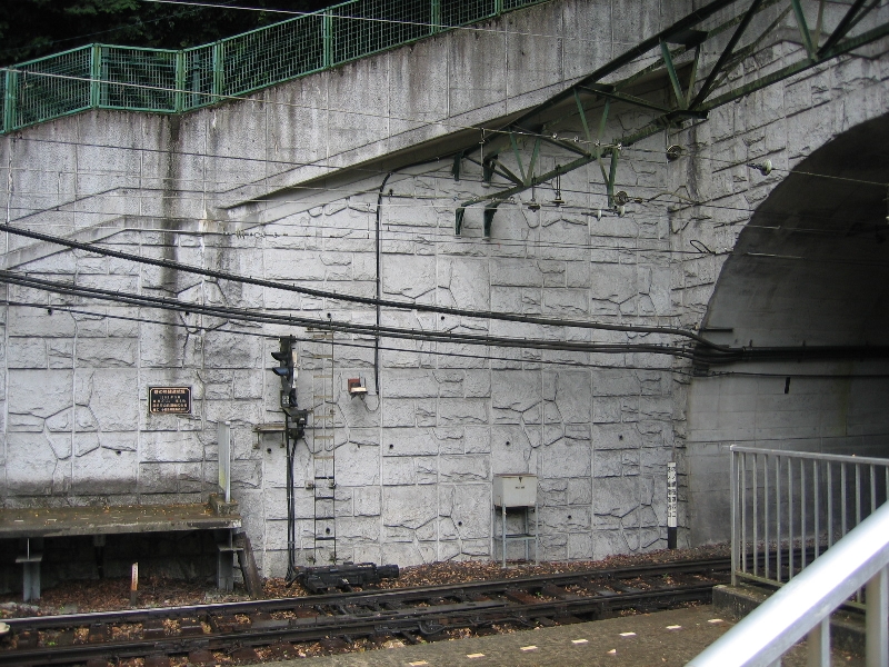 resize_img_2319.jpg