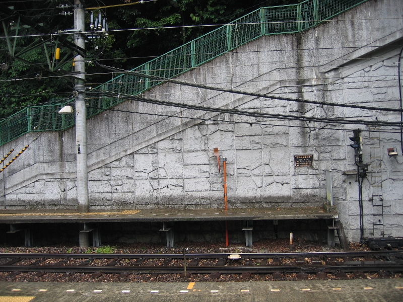 resize_img_2320.jpg
