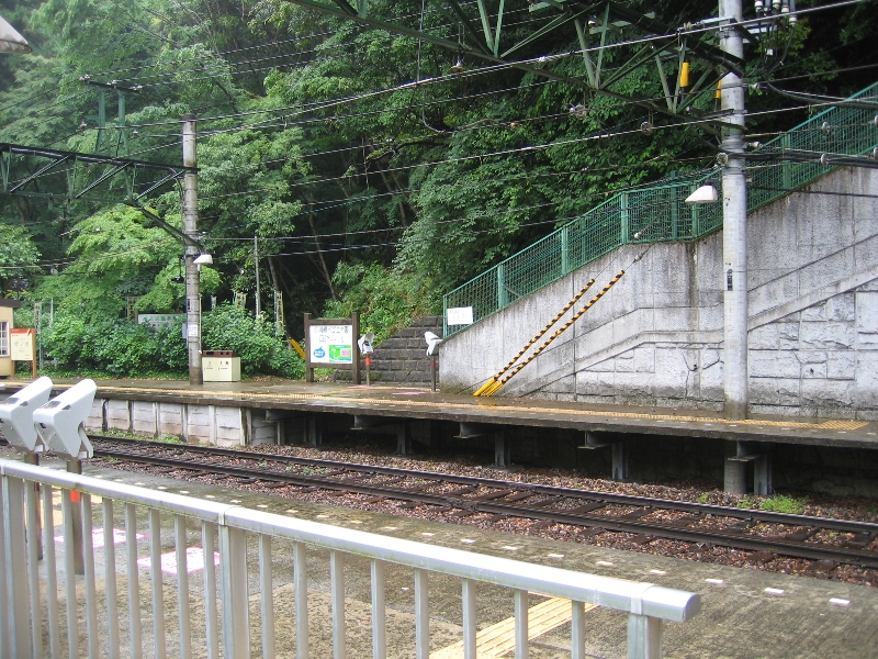 resize_img_2321.jpg