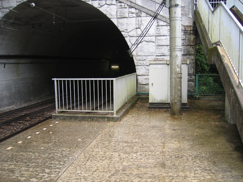 resize_img_2322.jpg
