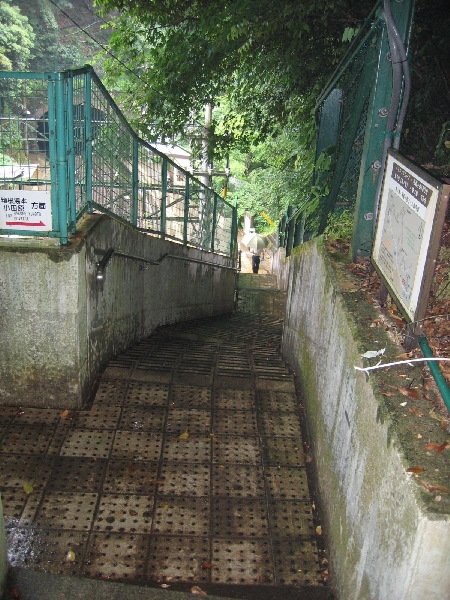 resize_img_2328.jpg