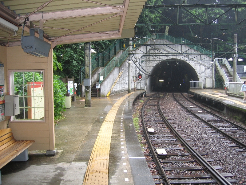 resize_img_2332.jpg