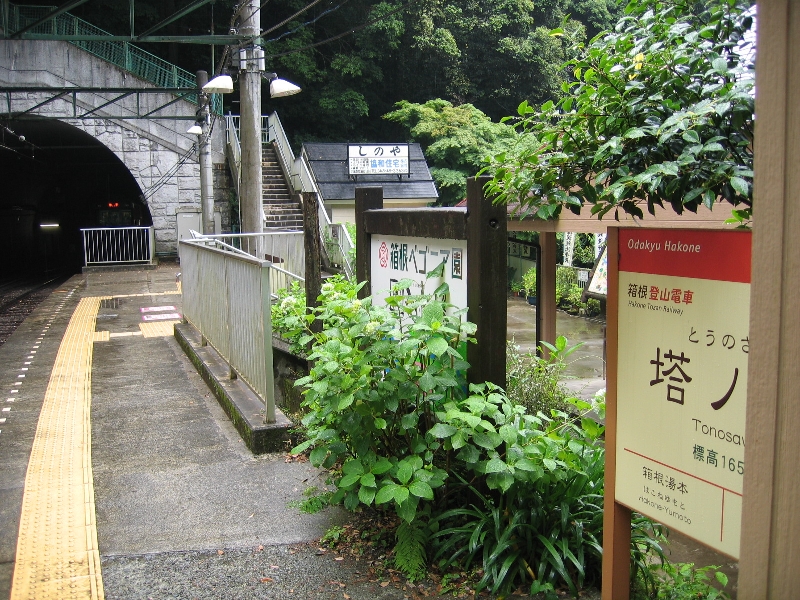 resize_img_2334.jpg