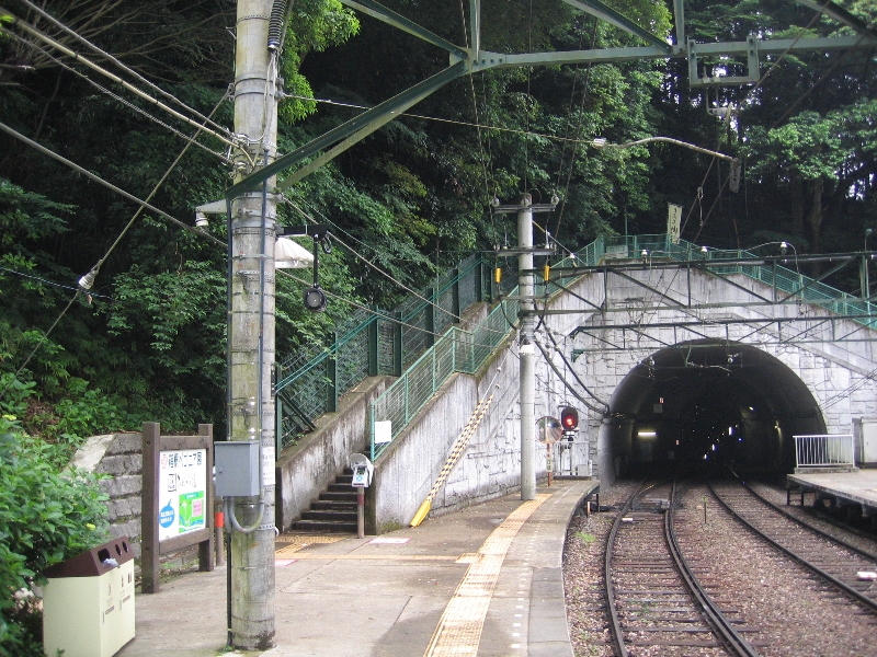 resize_img_2514.jpg
