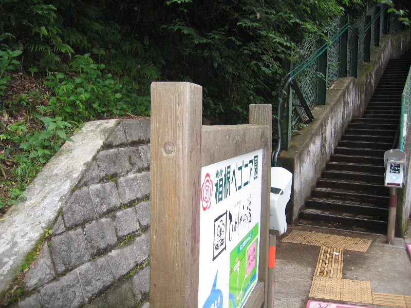 resize_img_2515.jpg