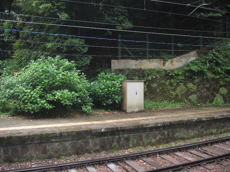 resize_img_2518.jpg