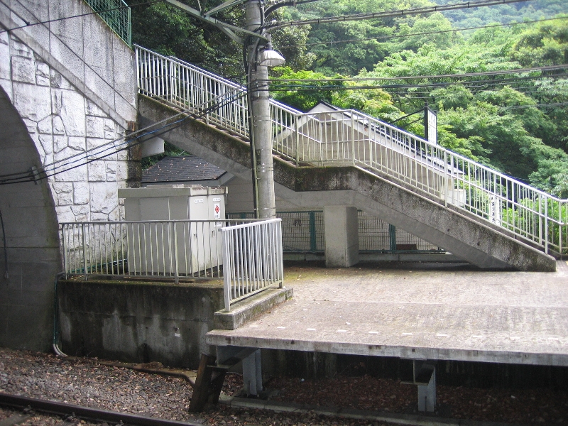 resize_img_2521.jpg