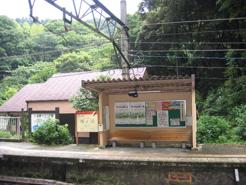 resize_img_2524.jpg