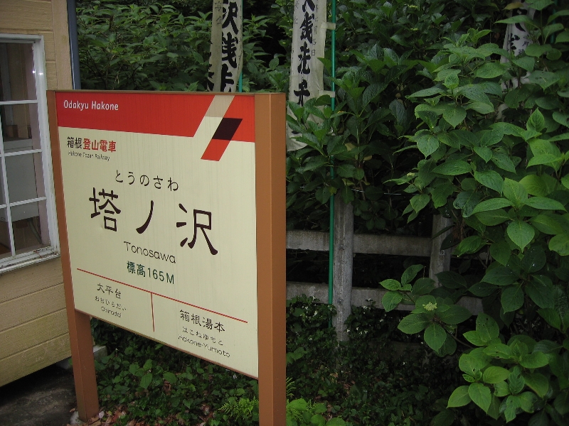 resize_img_2528.jpg