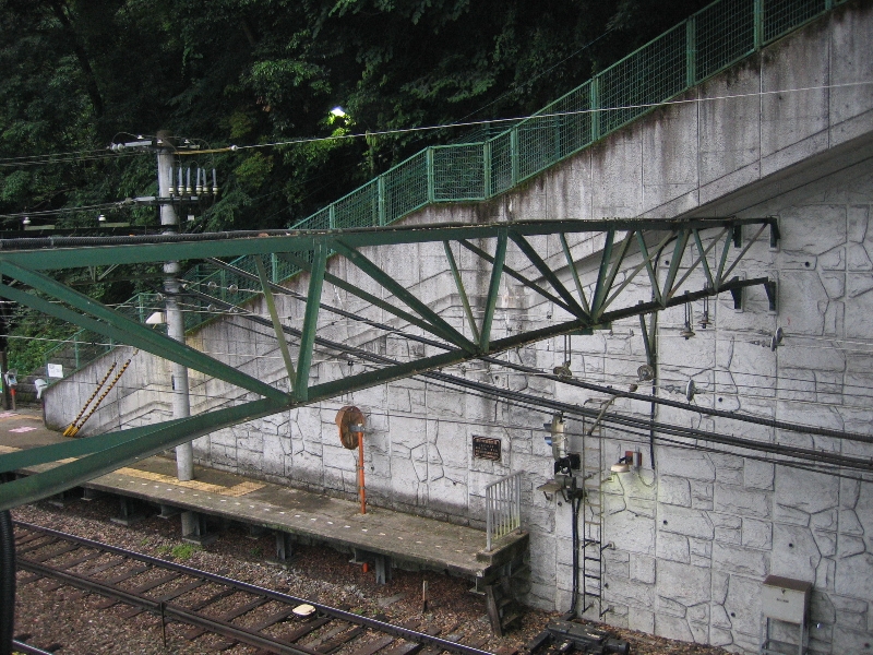 resize_img_2529.jpg