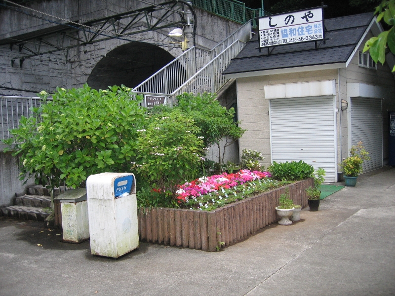 resize_img_2534.jpg
