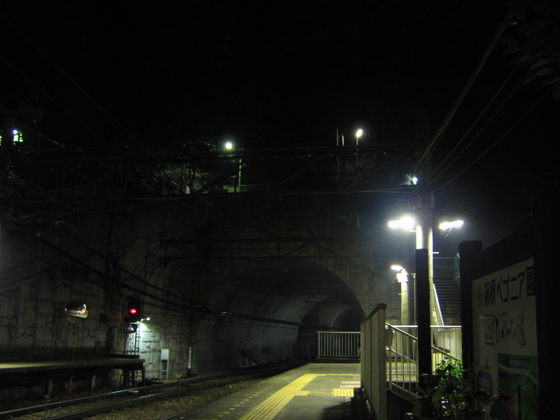resize_img_2745.jpg