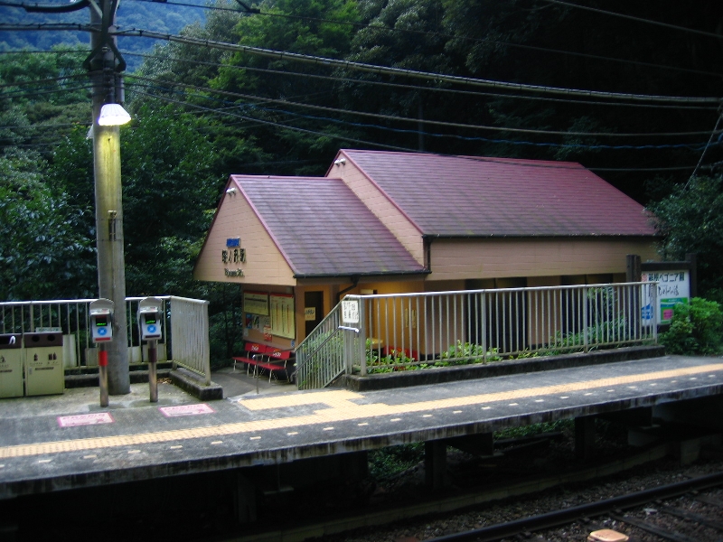resize_img_3224.jpg