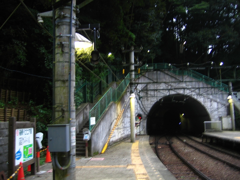 resize_img_3225.jpg