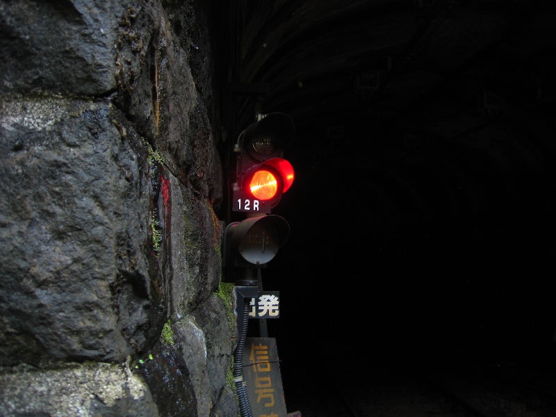 resize_img_3231.jpg